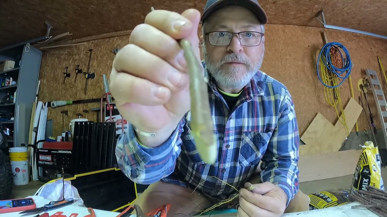 2nd attempt to learn tree grafting. From 2022