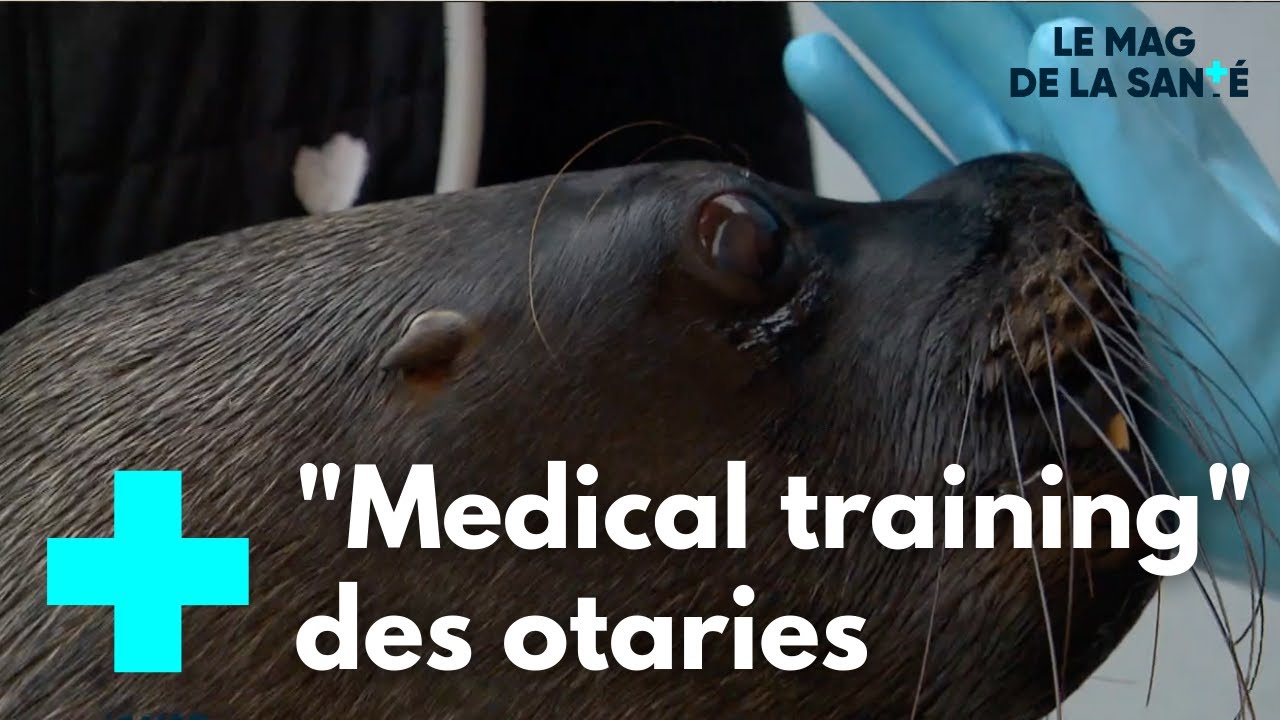La Tanière, un refuge pour les animaux 5/5 - Le Magazine de la Santé