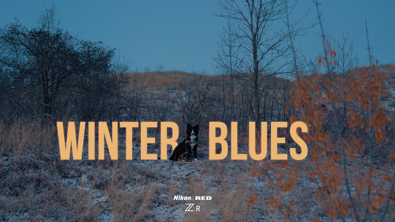 Winter Blues - Nikon ZR