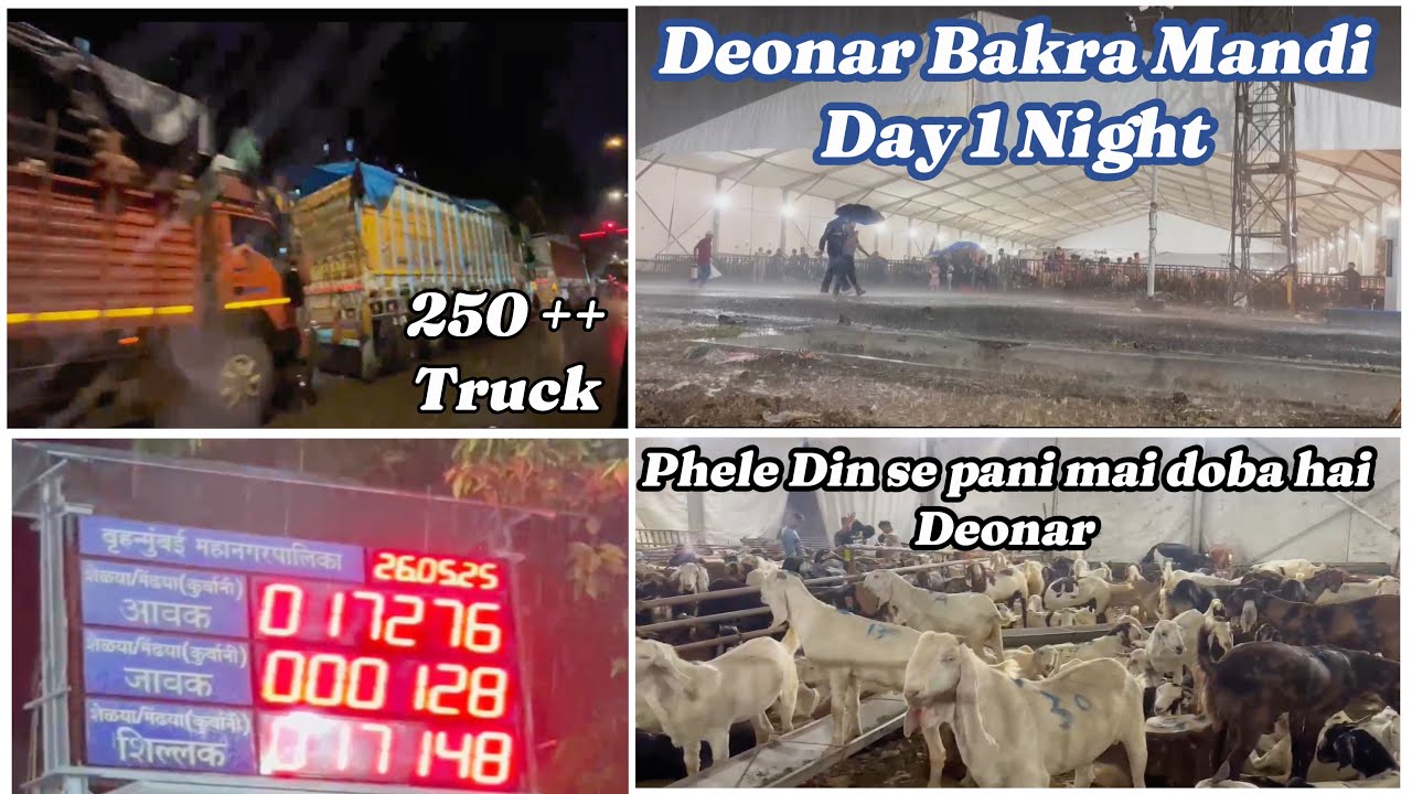 Deonar Bakra Mandi Day 1 Night Update vlog | Monday 2025