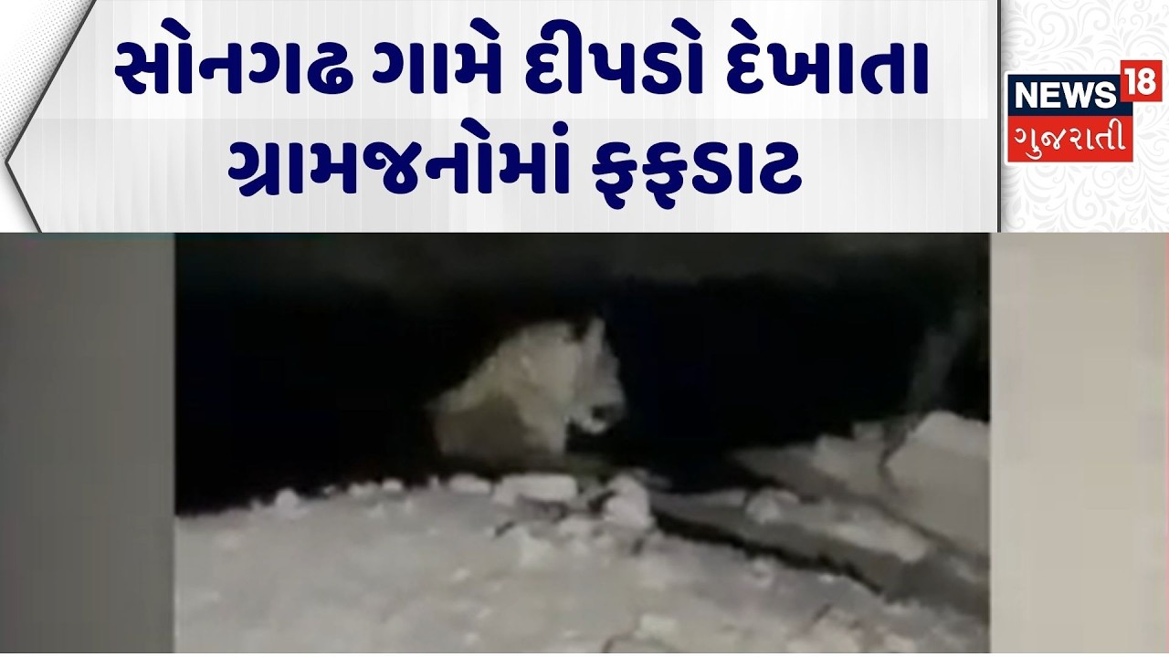 Surendranagar Leopard | સોનગઢ ગામે દીપડો દેખાતા ગ્રામજનોમાં ફફડાટ | Leopard Video |Forest Department