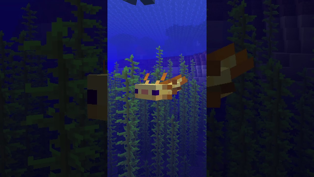 Minecraft 26.1 Snapshot 5 w 30 sekund