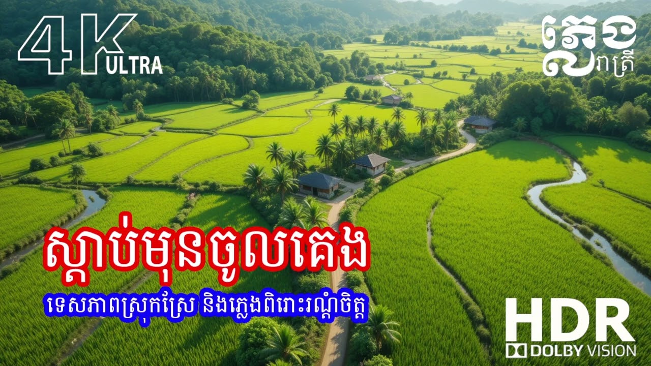 ភ្លេងរាត្រីពិរោះទន់ភ្លន់ 🎶 ស្ដាប់មុនគេង បន្ធូរចិត្ត