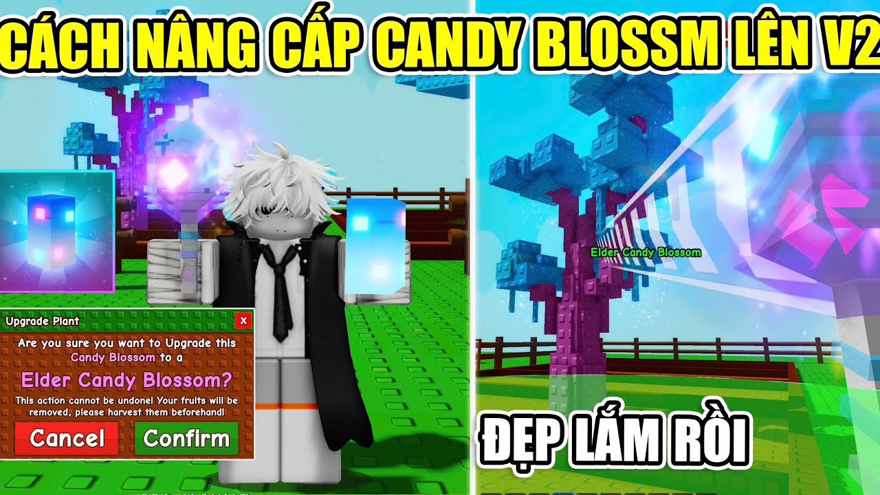 C&Aacute;CH NHẬN MẢNH N&Acirc;NG CẤP SEED CANDY BLOSSOM L&Ecirc;N V2 ĐỈNH CAO GROW A GARDEN | Roblox 