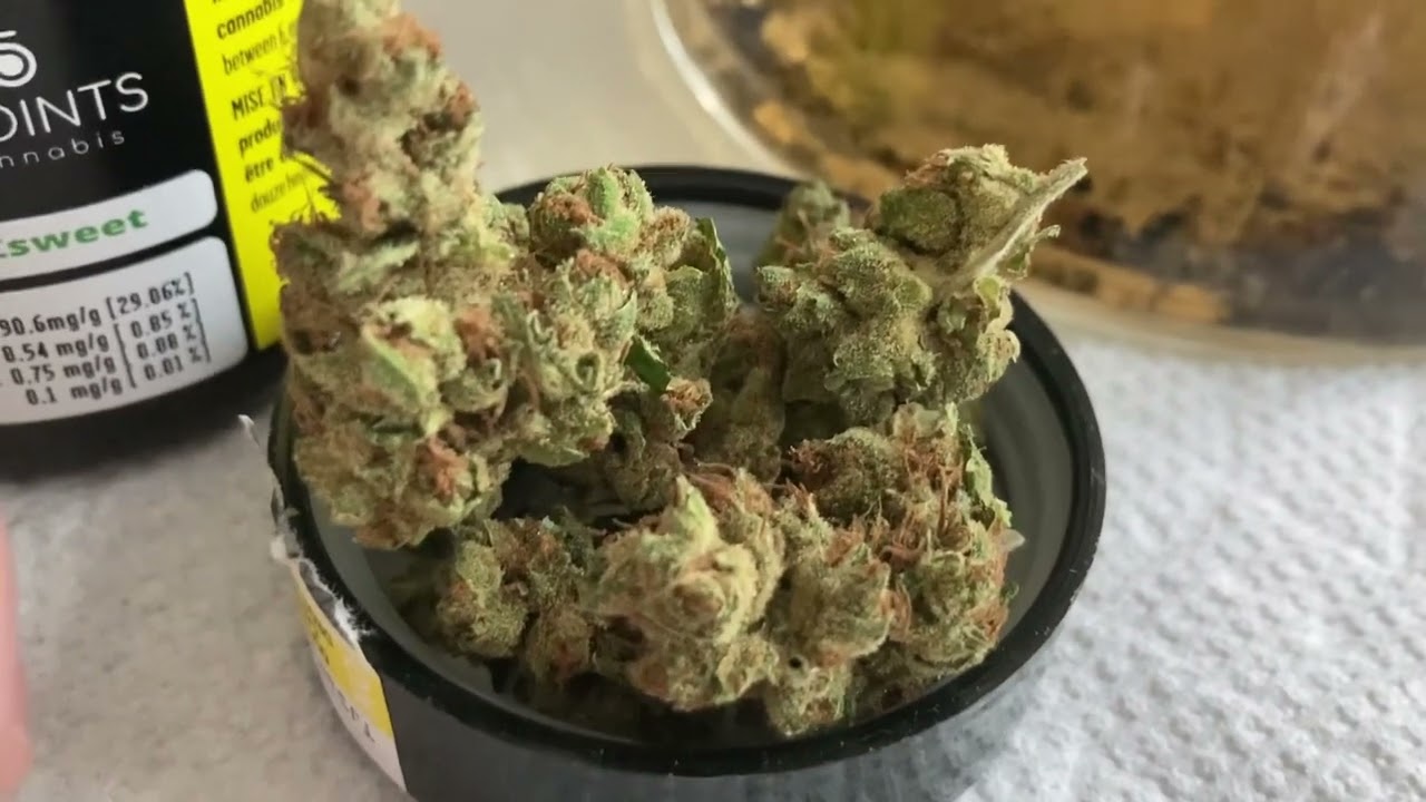 5Points Zsweet Cannabis unboxing and review
