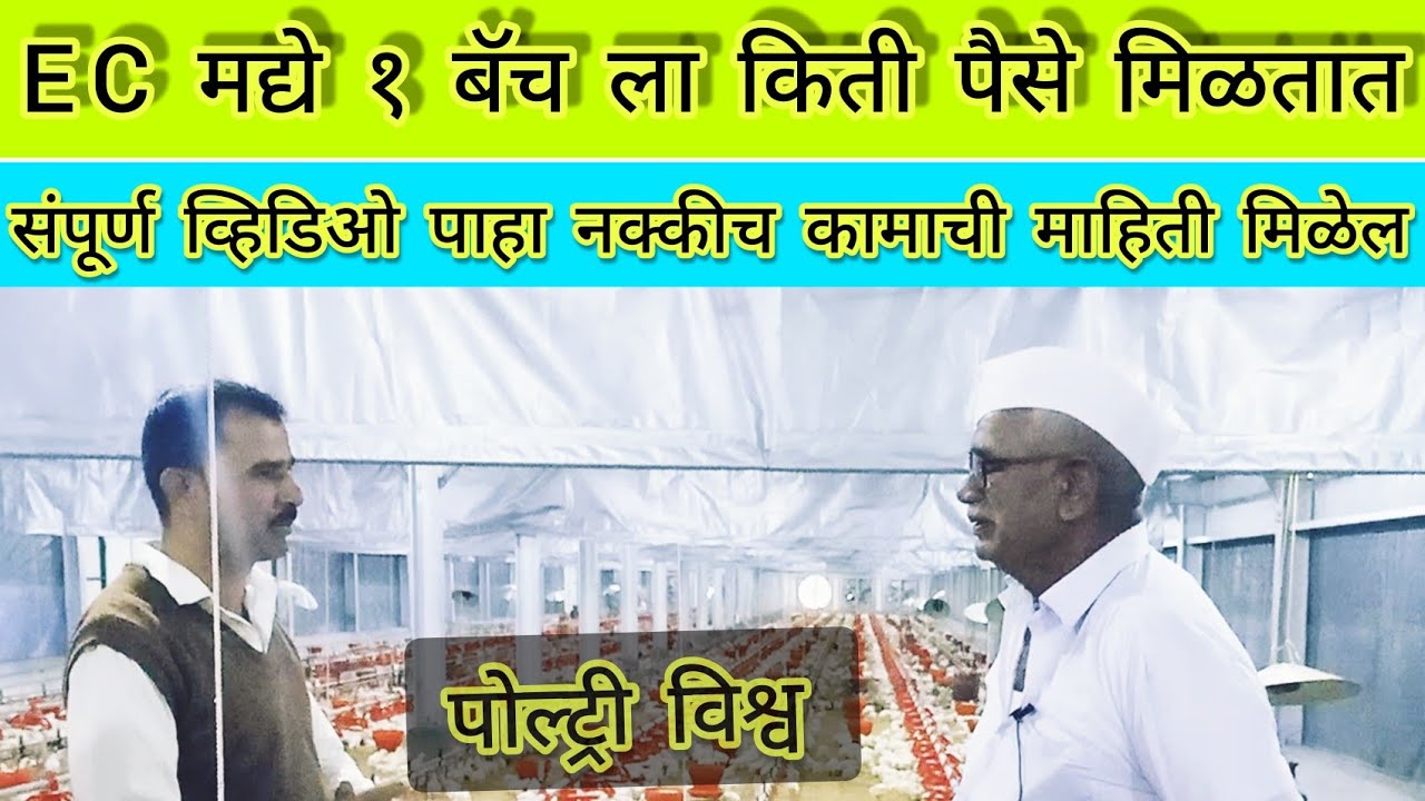 EC poulrty farm management ||  EC फार्म ची संपूर्ण माहिती  ||  Model poulrty farm