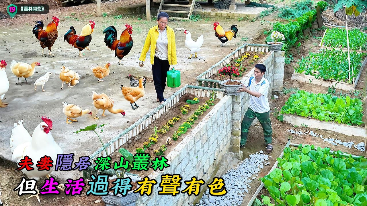 夫妻隱居深山叢林，但生活過得有聲有色《叢林開荒》19