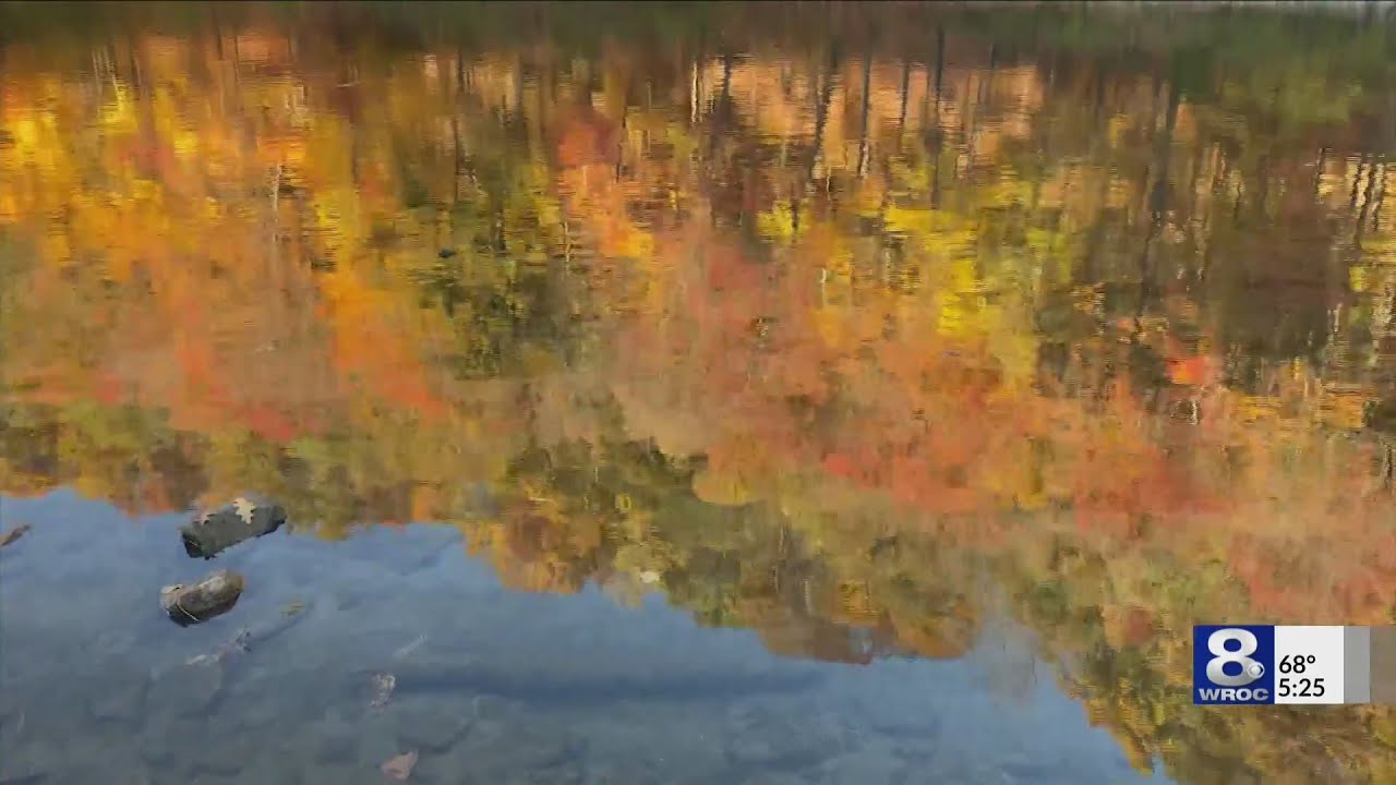 Kucko Camera: Down to the edge of the Genesee River