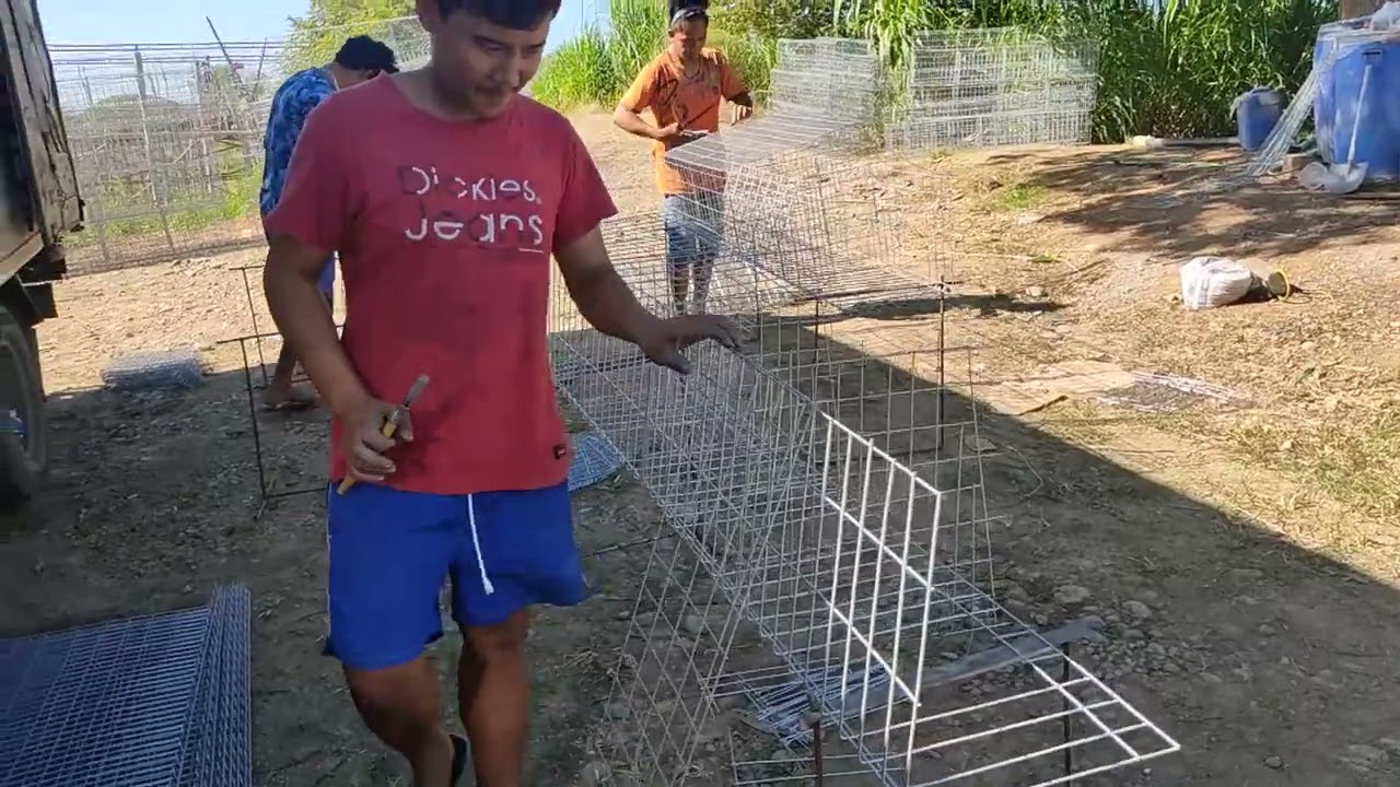 3,456 capacity battery cages binubuo na SA balungao,pangasinan