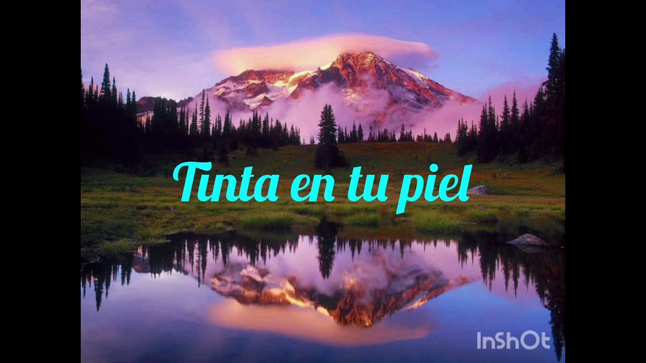 Tinta en tu piel