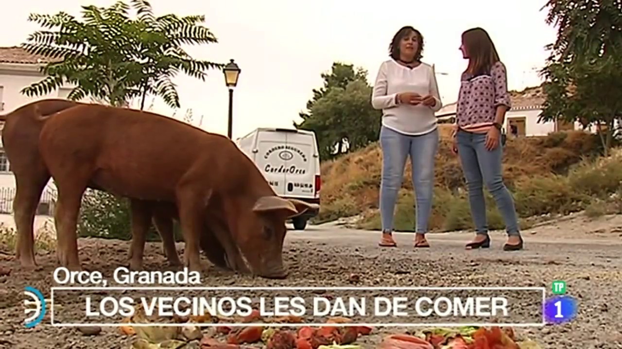 Orce  en TVE 
