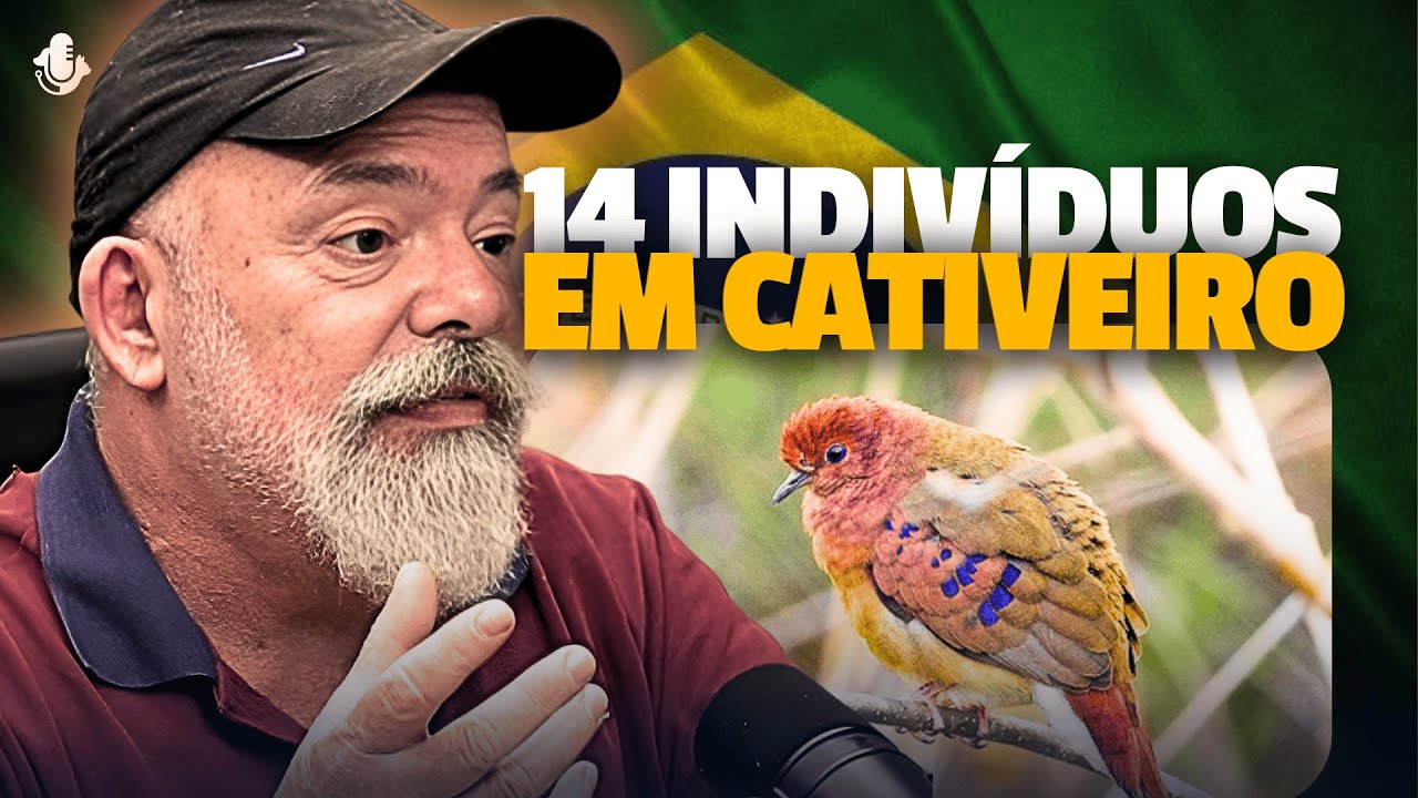 CATIVEIRO É A SOLUÇÃO PARA ESSE ANIMAL? (Quantos sobraram?)