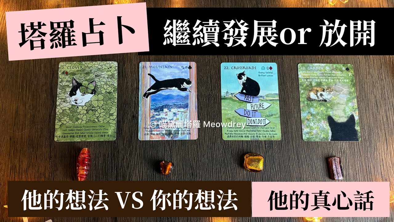 塔羅占卜｜這段關係，繼續or放棄？他的想法VS你的想法｜他的真心話 #喵黛麗塔羅 