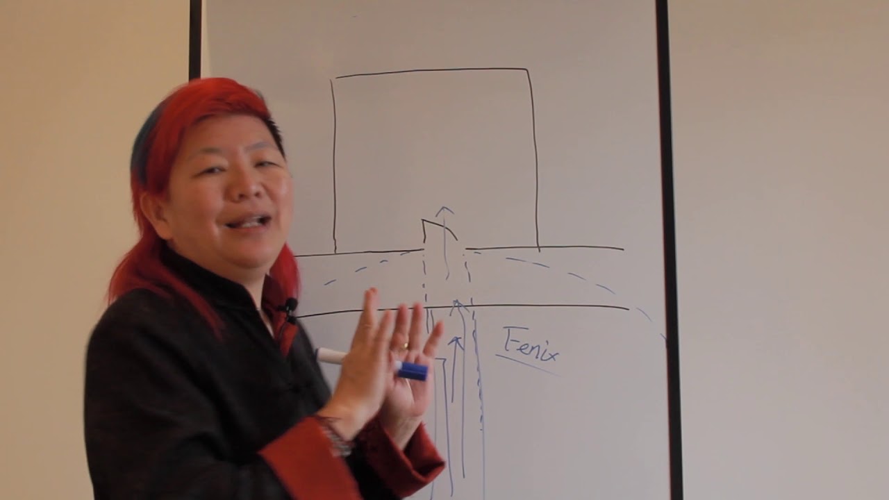¿Cómo mejorar la energía de tu comercio con Feng shui? - Por Yuan Chen