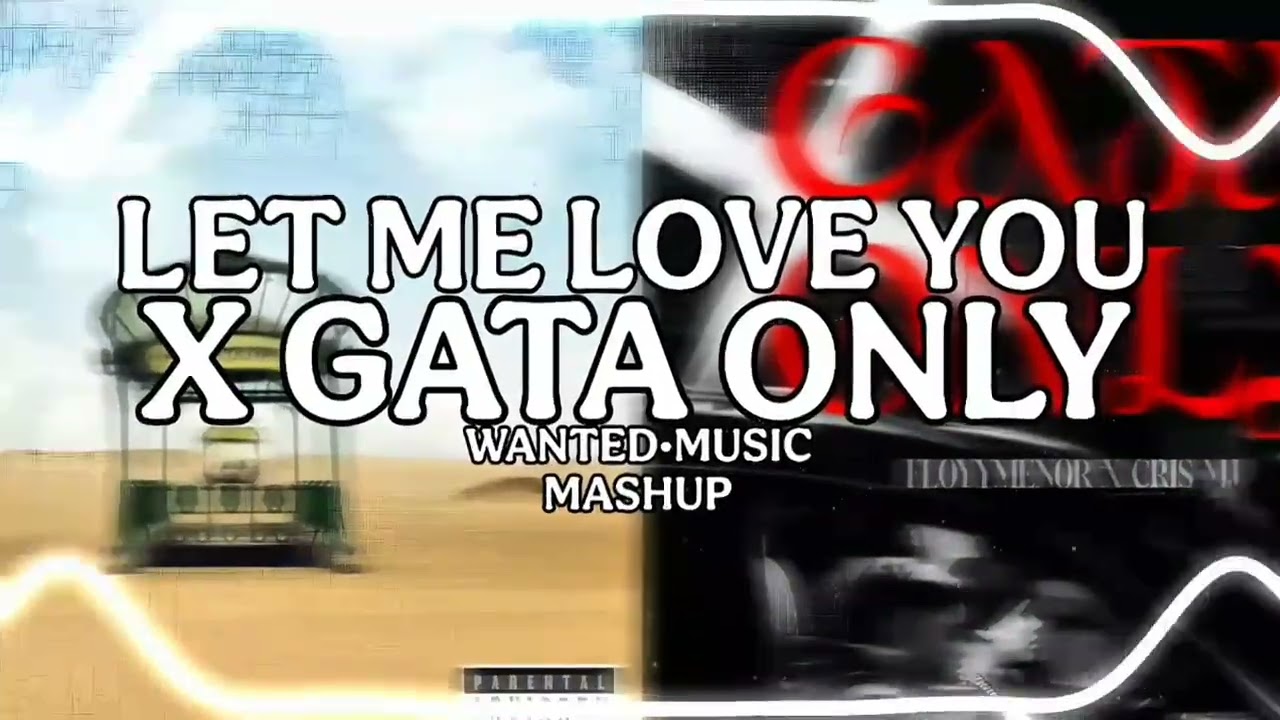 LET ME LOVE YOU x GATA ONLY (Mashup) | Justin Bieber x FloyyMenor | WANTED•MUSIC