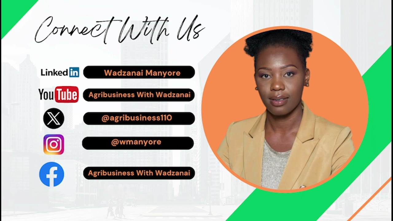 BARLEY CONTRACT FARMING AT PRICABE FARM with WADZANAI MANYORE