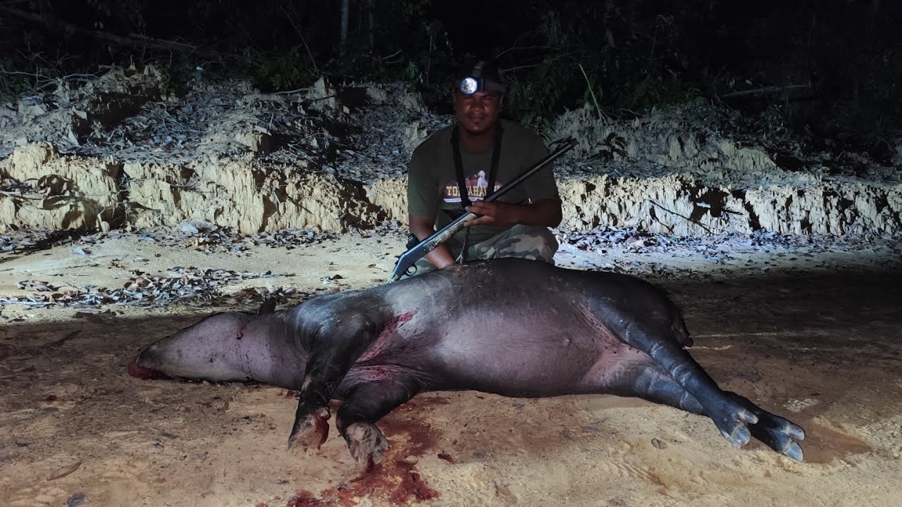 Jaykreek - Suriname 📍🇸🇷  in search for the deadly wolf fish 🎣 hunting on deer and buffalo 🏆