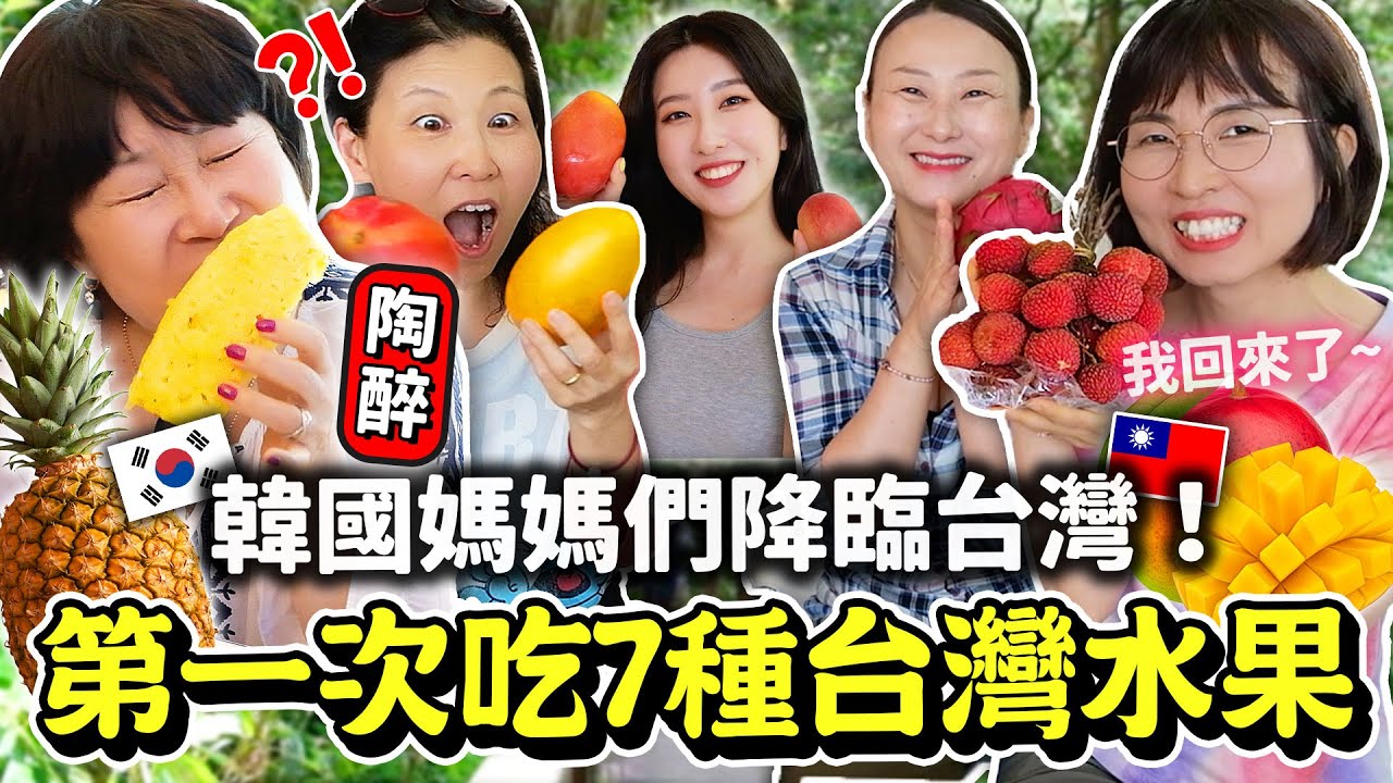 韓國媽媽們爬拉拉山，吃爆台灣水果：芒果，鳳梨，荔枝等等🥹不敢相信台灣水果這麼好吃！🇰🇷韓國大媽旅遊團ep01