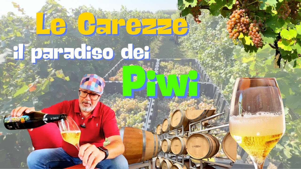 Le Carezze, il Paradiso dei Vitigni Piwi