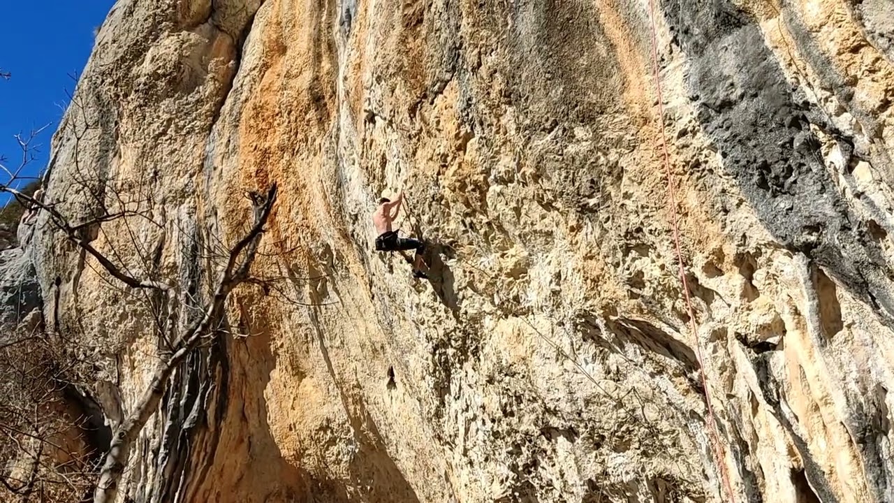 Domaće Kobasice - 8a, Kompanj