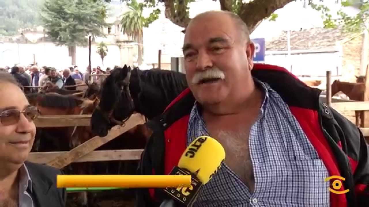 Noticia de Lugo: A tradición cabalar brilla de novo nas San Lucas de Mondoñedo