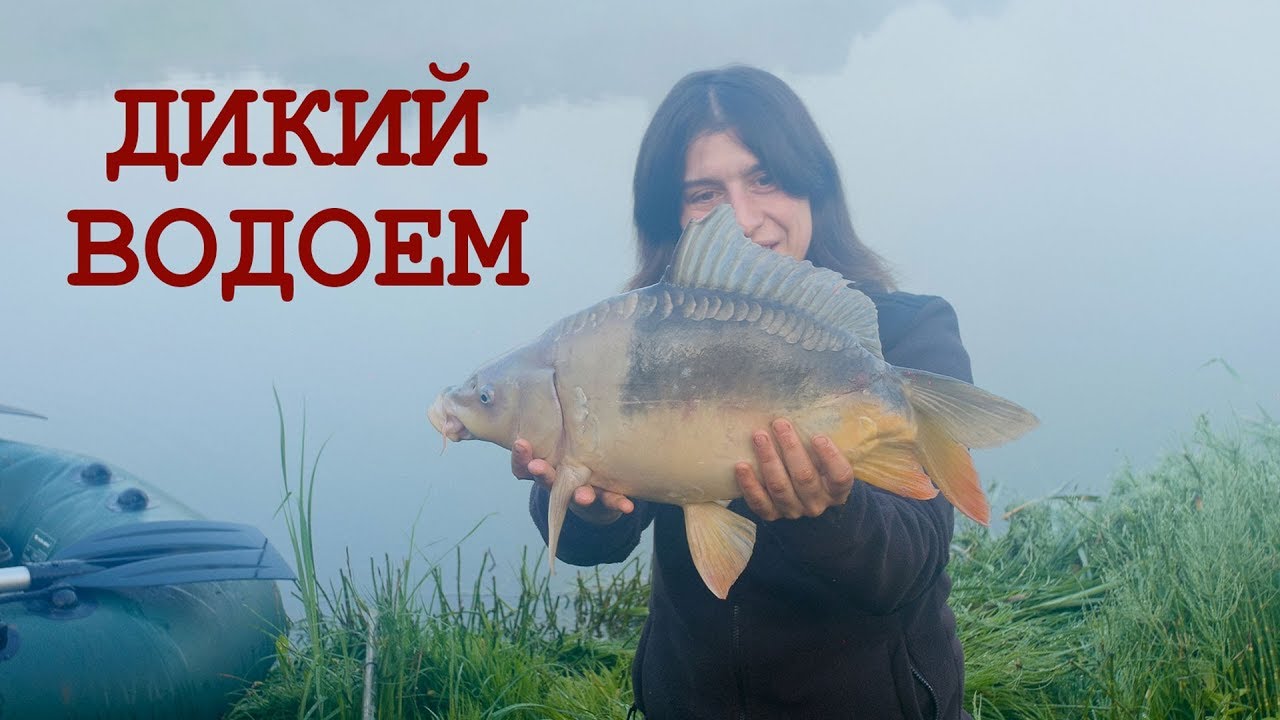 [АРХІВ 2019]  Секрети риболовлі на коропа. Лов на дикій водоймі