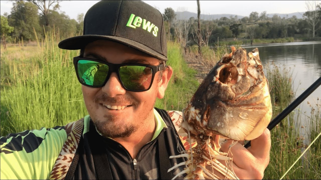FLY FISHING FOR PEST FISH | Sight Fishing Wyaralong Dam.