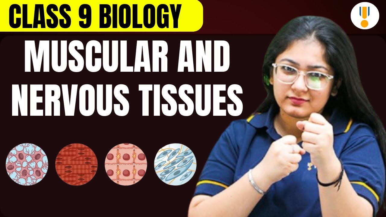 Muscular and Nervous Tissues | CBSE Class 9th Biology | Board Exams 2026 | Rankplus