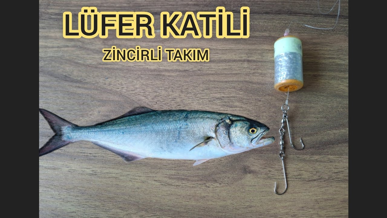 Zincirli Lüfer Takımı. Lüfer avında bir numara. Cinekop Sarıkanat Lüfer avlarında vazgeçilmez takım.