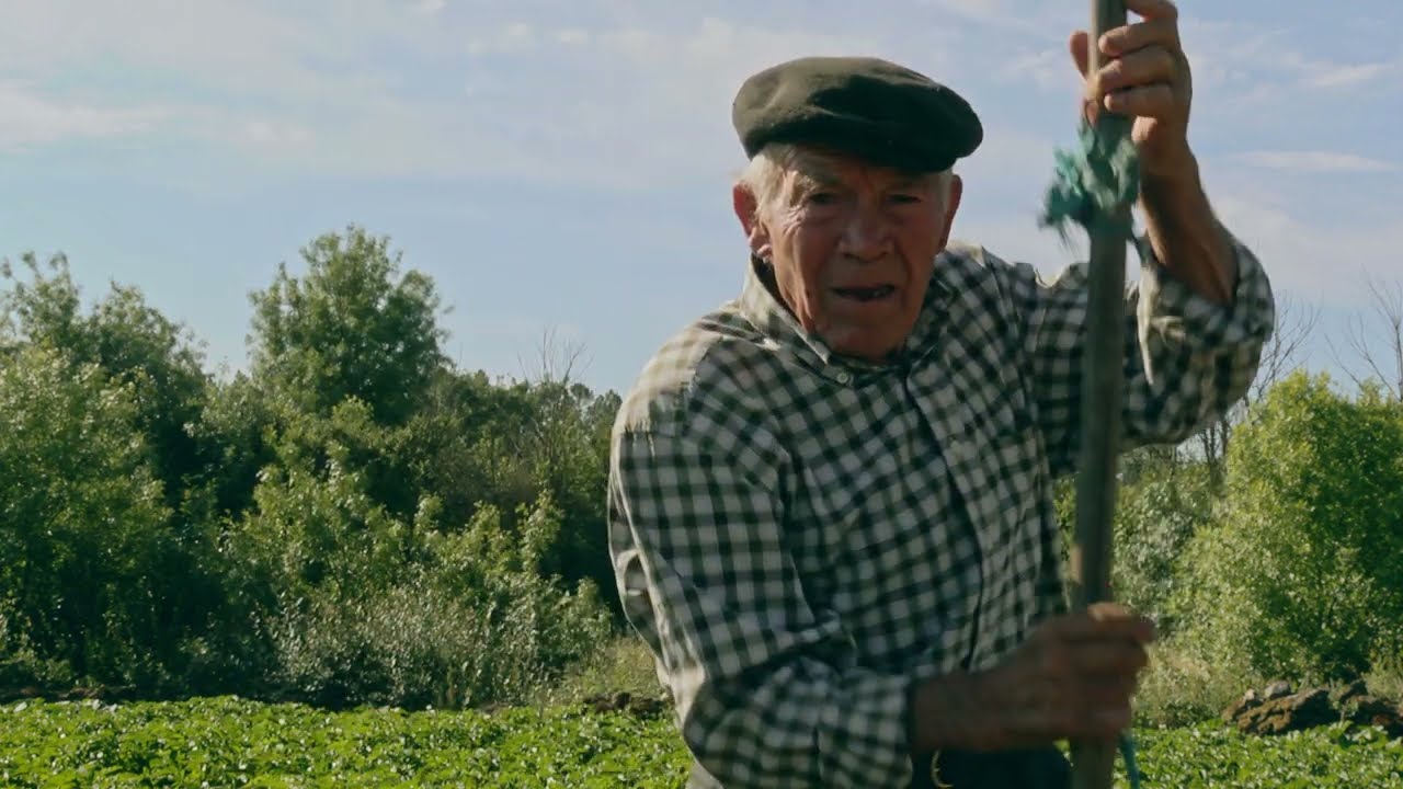 A fartura da terra