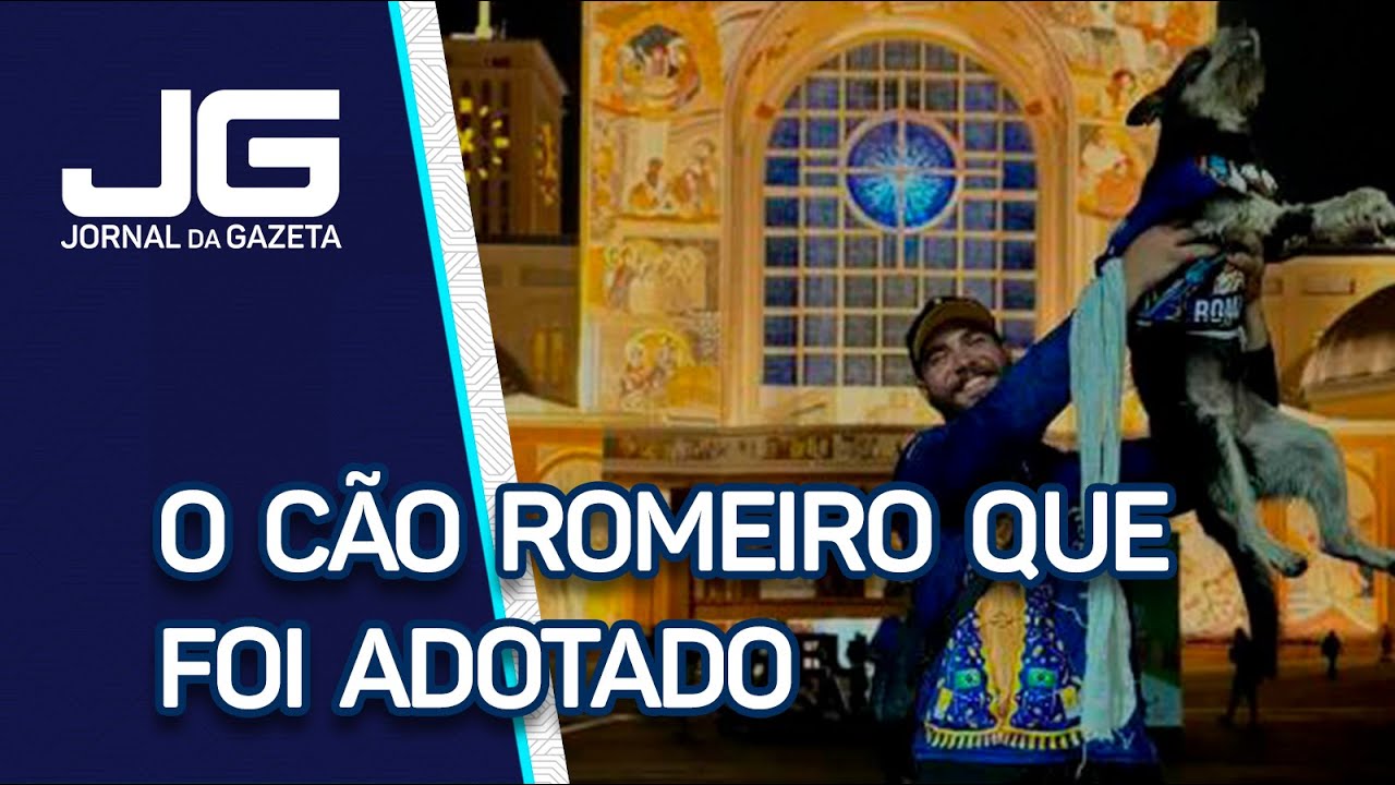 O cão romeiro que foi adotado