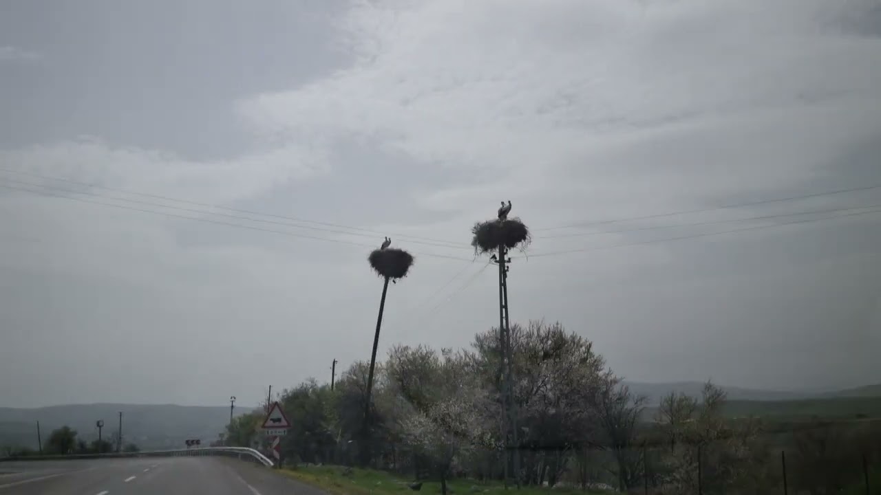 mazgirt gezintisi