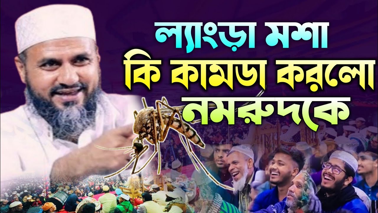 নমরুদকে লেংড়া মশা কেমন শিক্ষা দিলেন | Mostak Foyezi | মোশতাক ফয়েজী পীর সাহেব | Rose Tune |