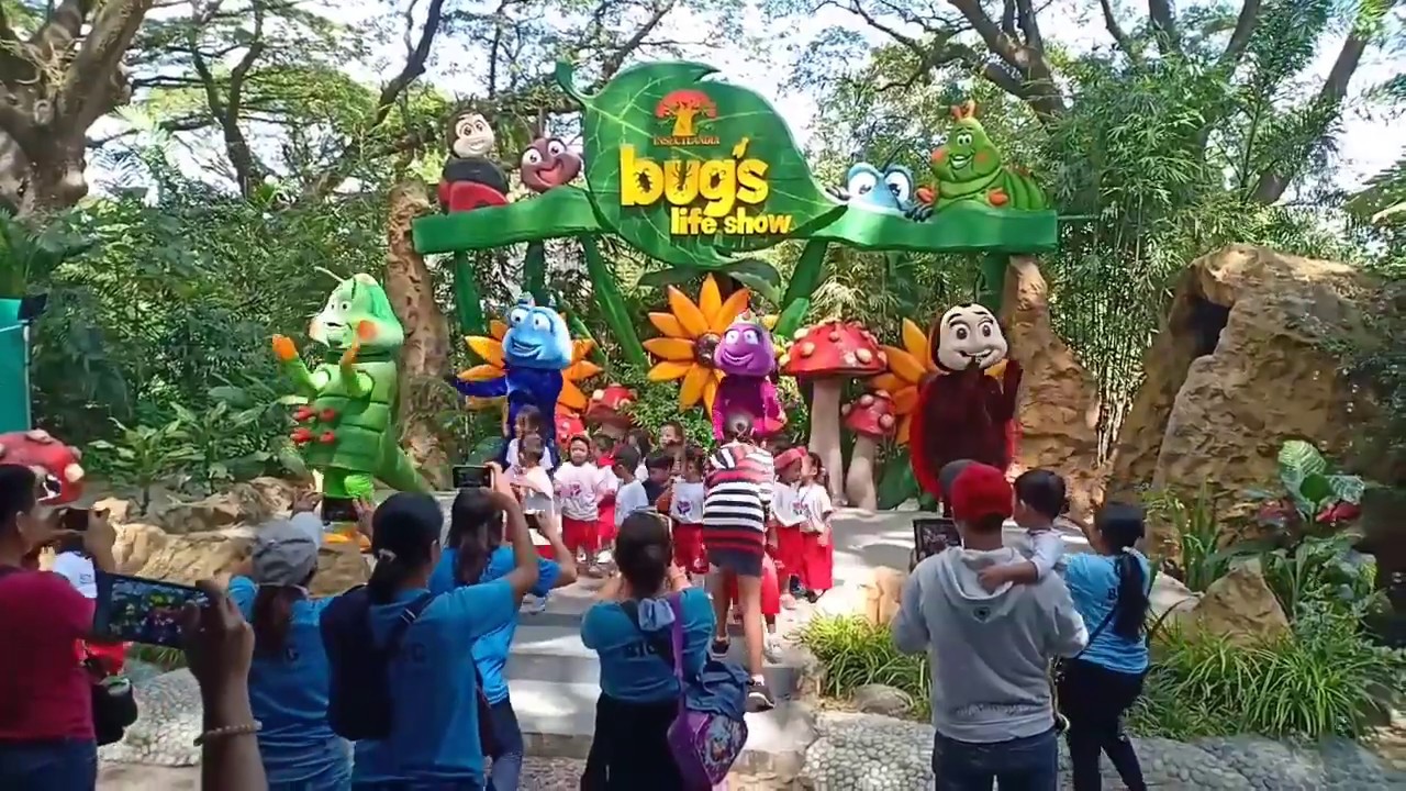 The Bugs Life Show - Riley at Insectlandia | Elaine Brase