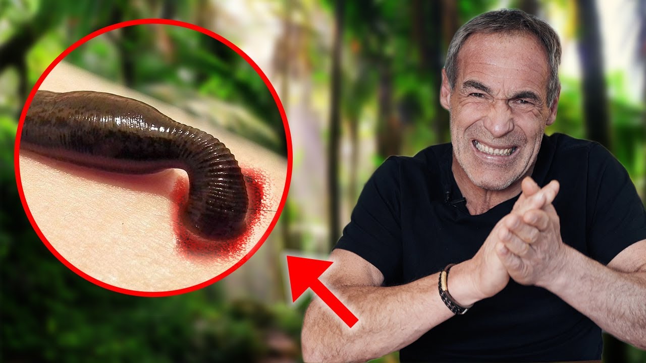 ATTAQUÉS PAR DES SANGSUES AVEC M. POKORA (comment les éviter) | « à l’état sauvage »