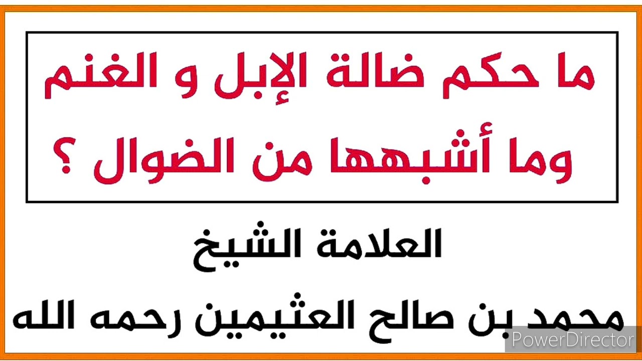 ما حكم ضالة الإبل و الغنم وما أشبهها من الضوال ؟ العلامة الشيخ محمد بن صالح العثيمين رحمه الله