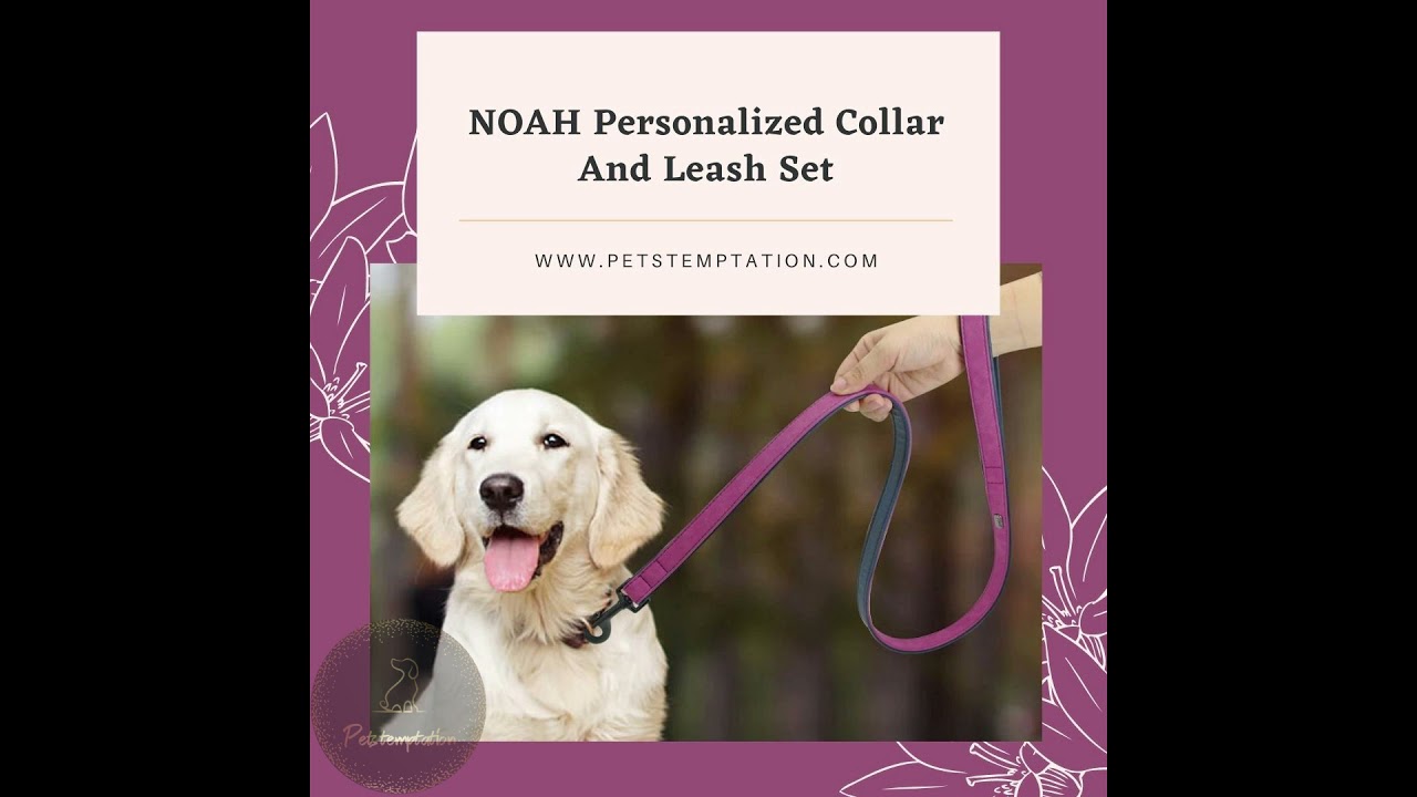 pet's product