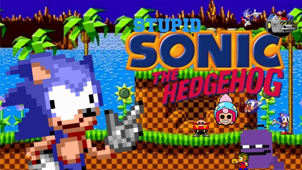 stupid sonic the jshdydjdjdwowjwwnndbfhdhjd