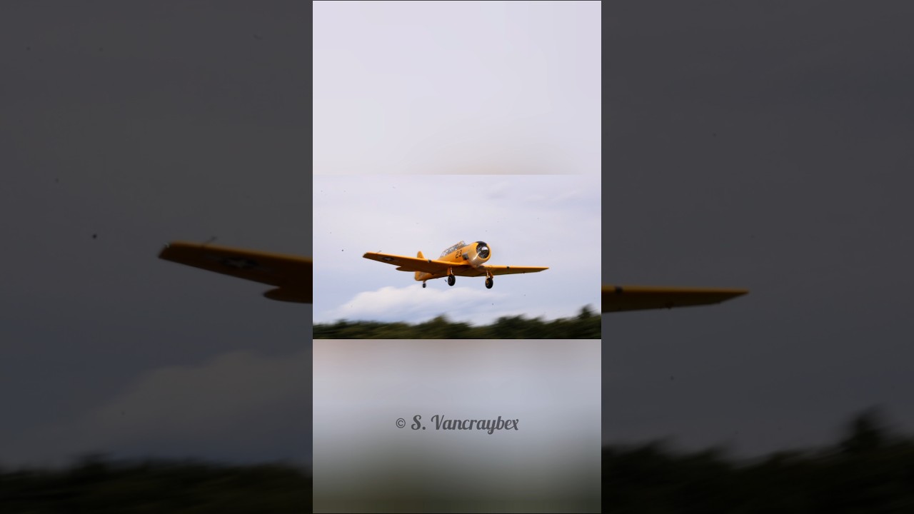 T6 Texan take-off #t6 #texan #takeoff #plane #aviation #aviationlovers #airplane #youtubeshorts