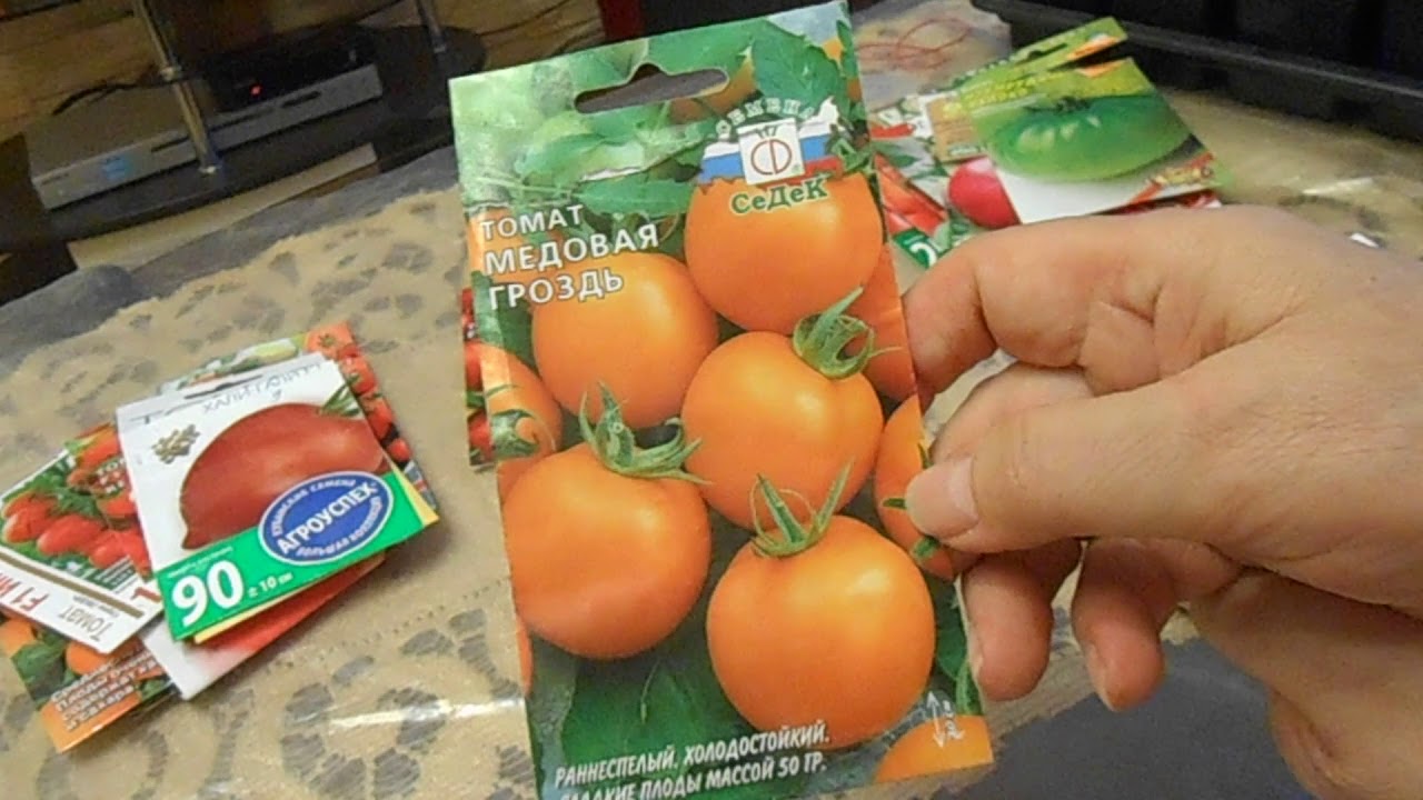 Сорта томатов и посадка в торфяные таблетки