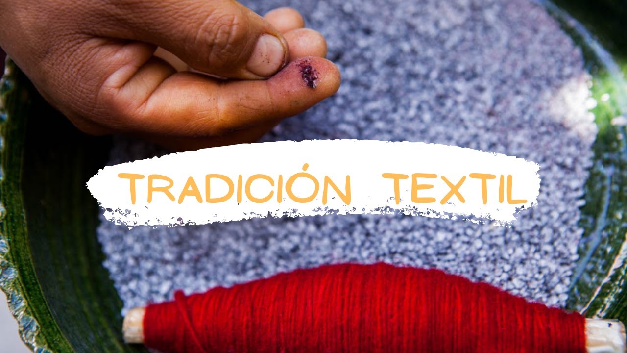 Tradición familiar en comunidad zapoteca 🌱 Tradición textil