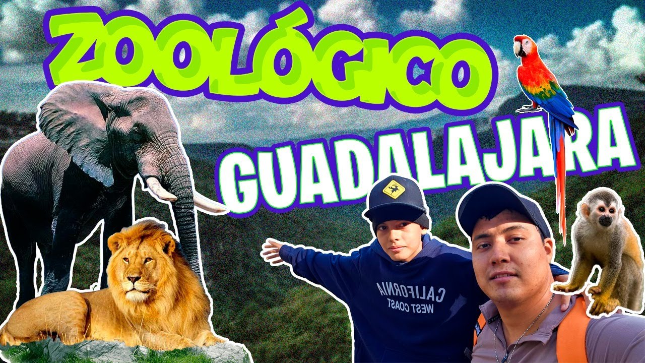 🔥⛰️ VISITANDO EL ZOOLÓGICO DE GUADALAJARA 🐘🦏🔥💥