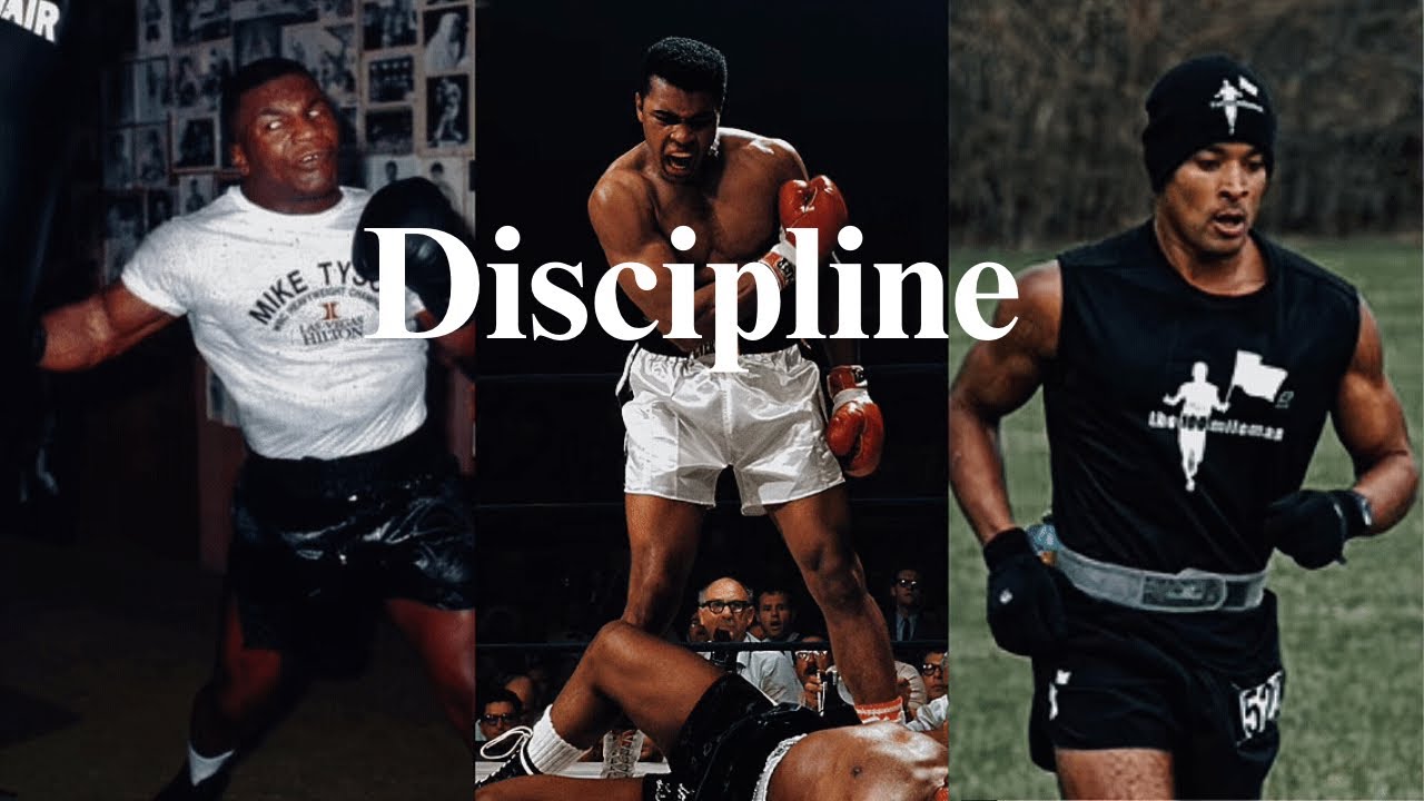 Дисциплина