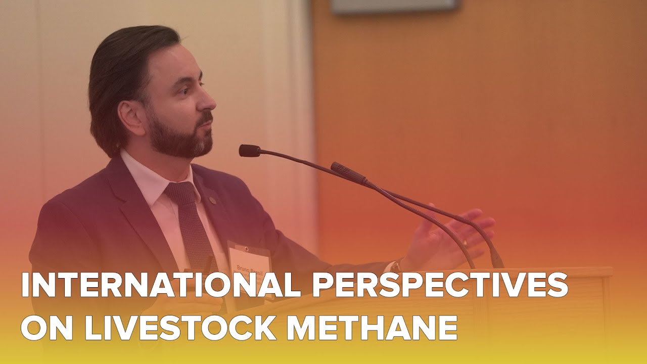 Reducing Methane Emissions from Livestock in Brazil