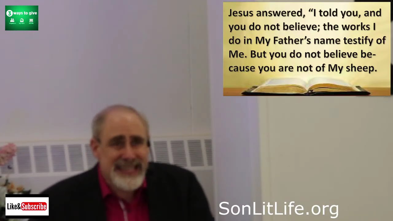 Curiosity Saves the Cool Cat | John 14:1-7