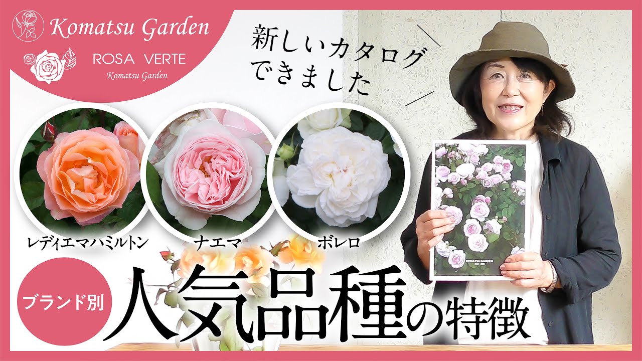 【バラの品種紹介】人気品種の特徴　カタログが出来ました！