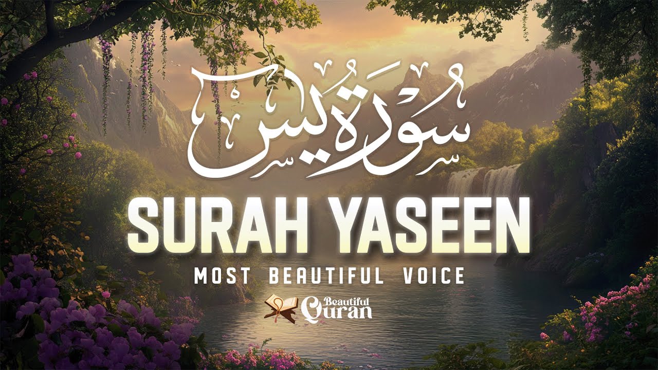 Surah Yasin | Soft Lofi Quran Recitation for Stress Relief & Restful Night | #lofiislam | BQ