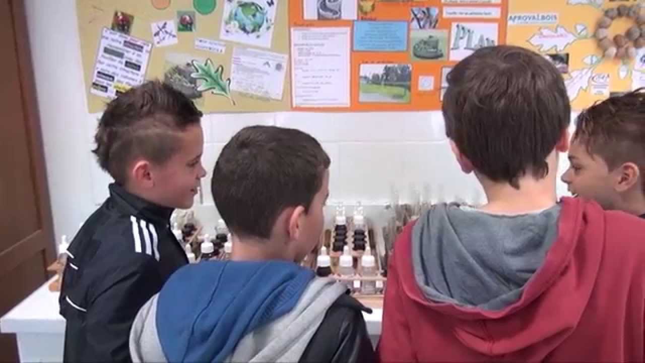Portes-Ouvertes Collège Maurice-Clavel - Édition 2015 à Avallon (89)