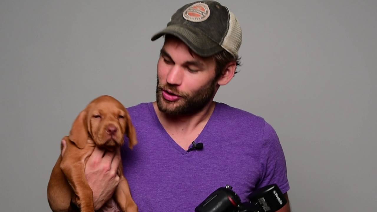 How To Photograph A Puppy In The Studio