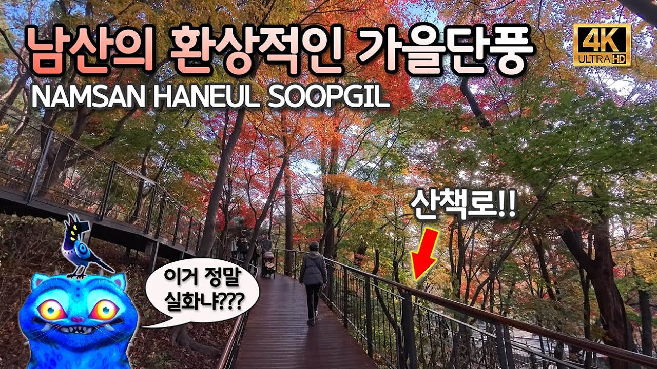 [4K 케데헌성지] 서울 도심 한복판에 이런 단풍 명소가 얼마 전 개방되었다네요!!  이제 속리산이나 설악산, 내장산까지 멀리 갈 필요도 없어지는 건가요???!!! | Namsan